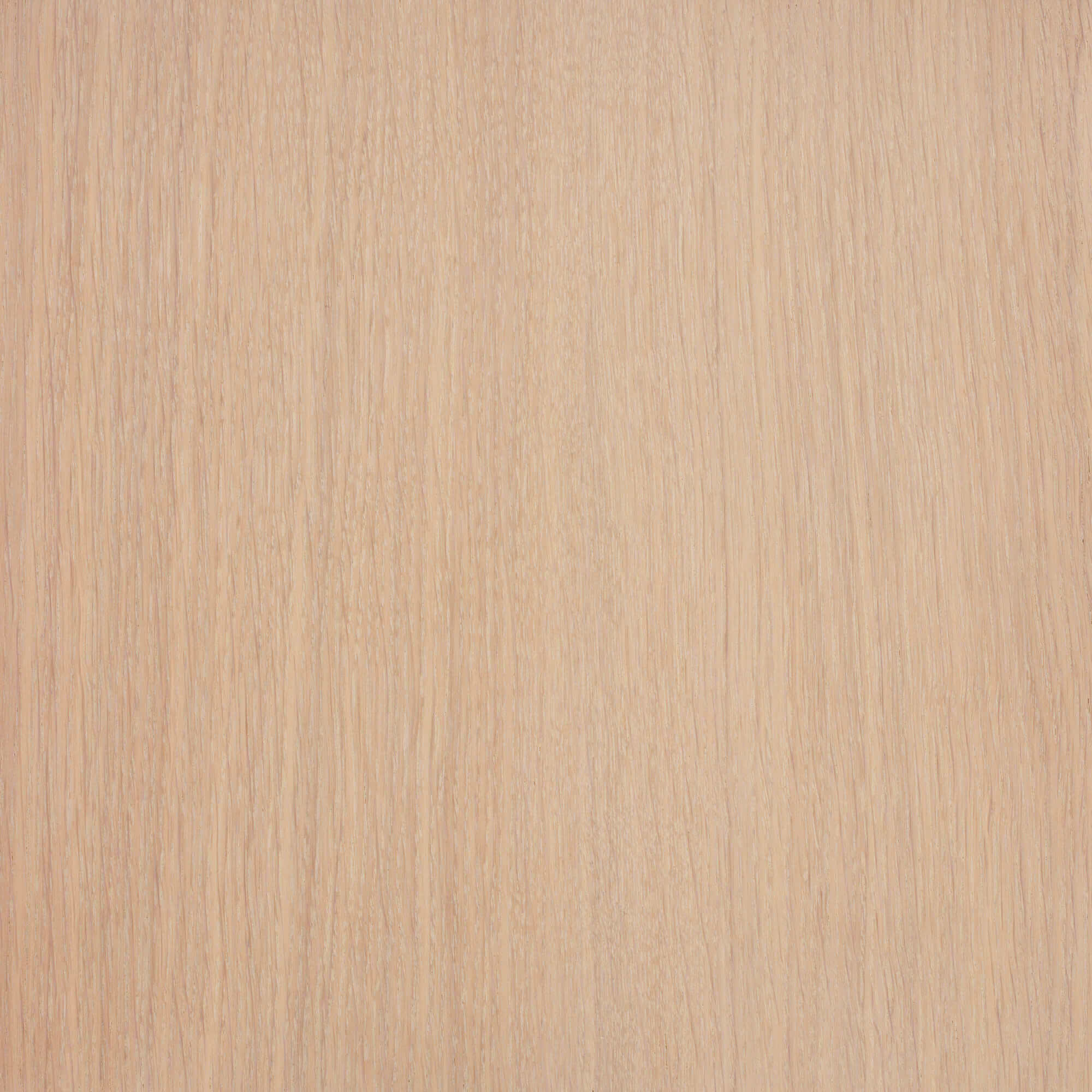 Oil Plus Part A - 6 mL - Image 49