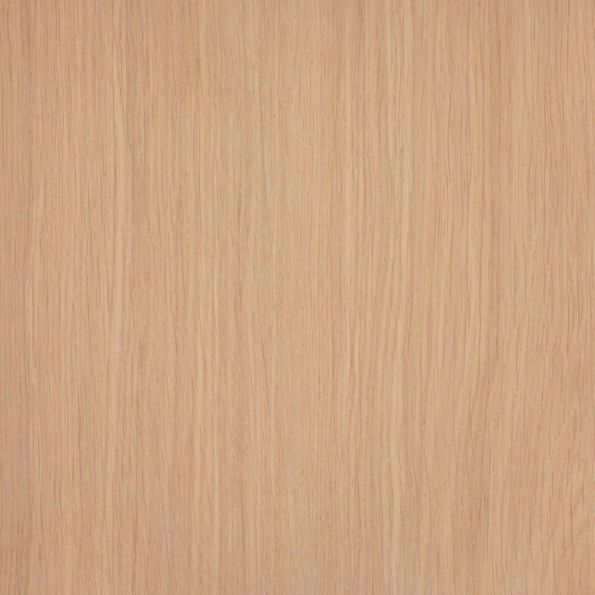 Oil Plus Part A - 6 mL - Image 58