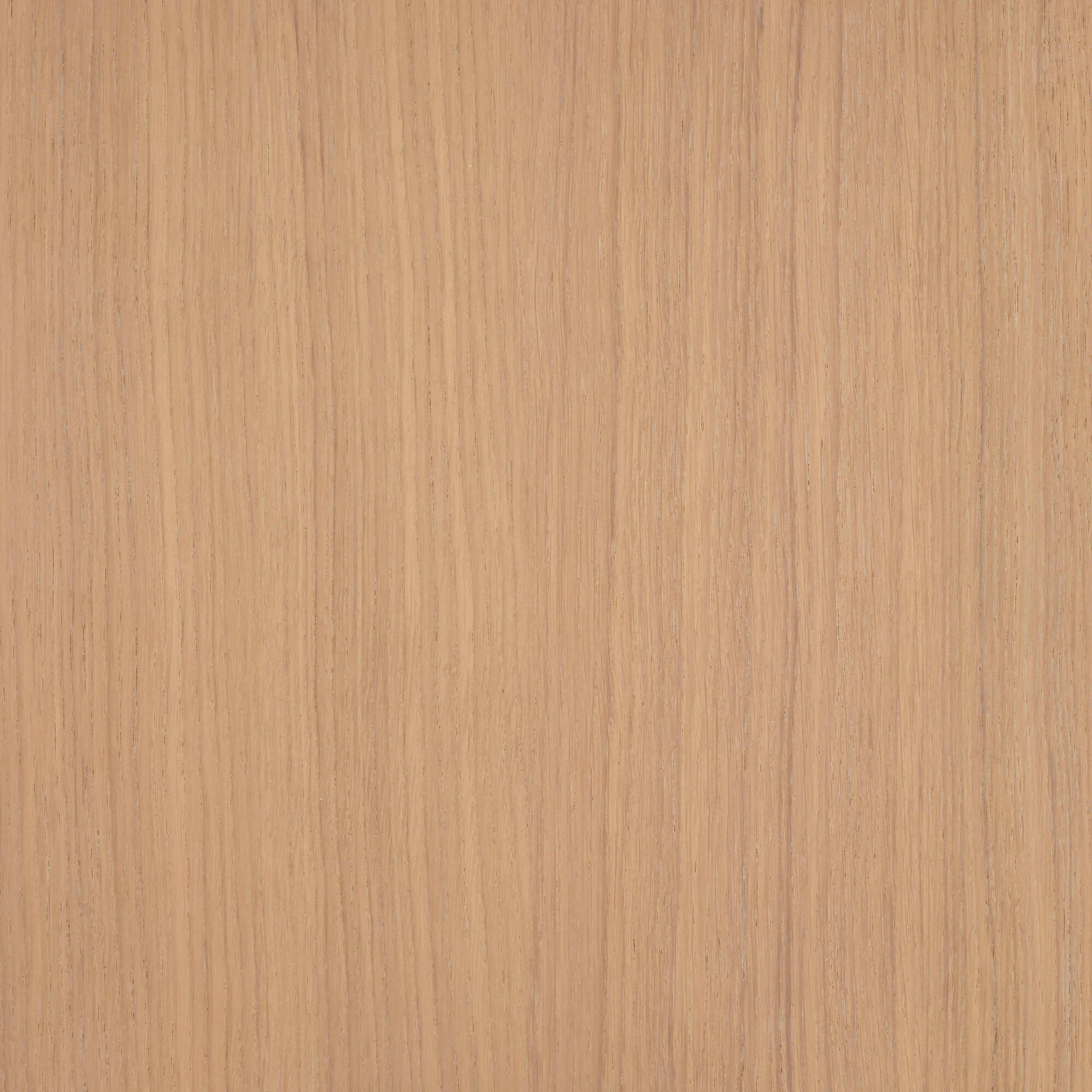 Oil Plus Part A - 6 mL - Image 43